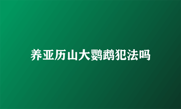 养亚历山大鹦鹉犯法吗