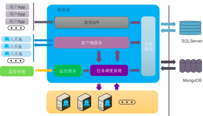 C\S是什么啊？