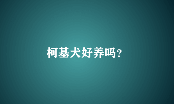 柯基犬好养吗？