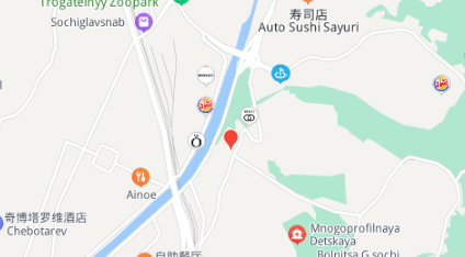 sochi是什么城市？