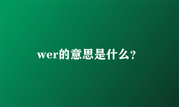 wer的意思是什么？