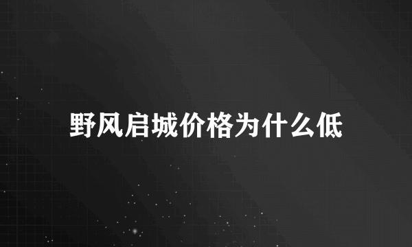 野风启城价格为什么低