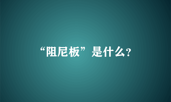 “阻尼板”是什么？