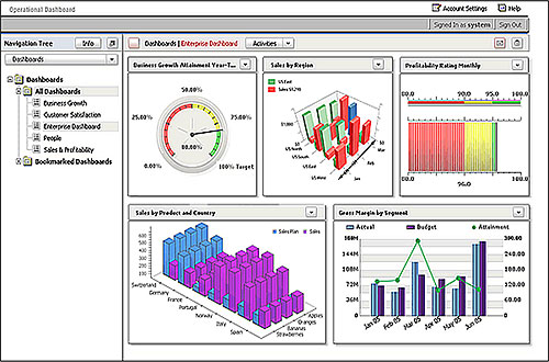 什么是IBM Cognos?