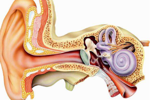 耳屎是怎么形成的？