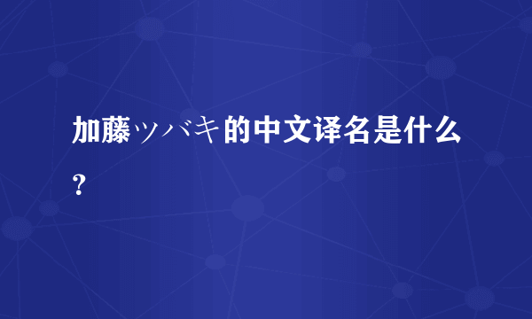 加藤ツバキ的中文译名是什么？