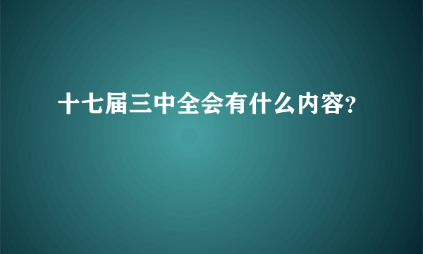 十七届三中全会有什么内容？