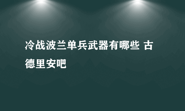 冷战波兰单兵武器有哪些 古德里安吧