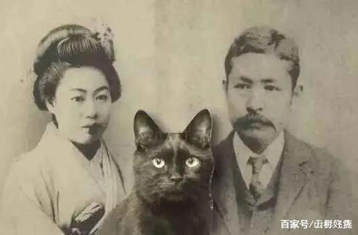 《我是猫》主要讲了什么？