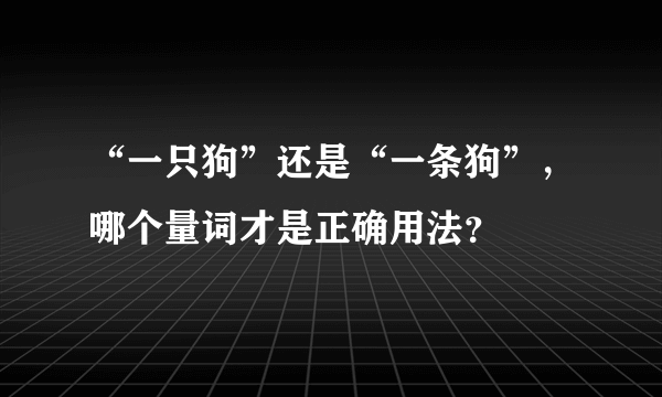 “一只狗”还是“一条狗”，哪个量词才是正确用法？