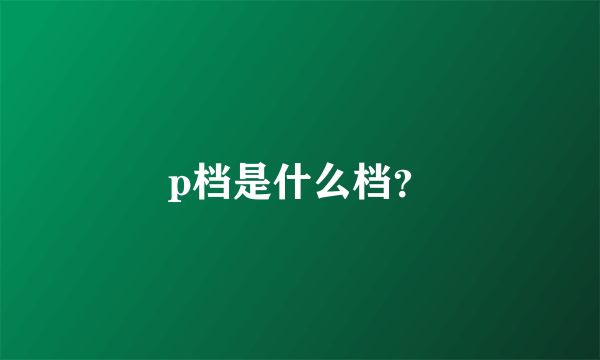 p档是什么档？