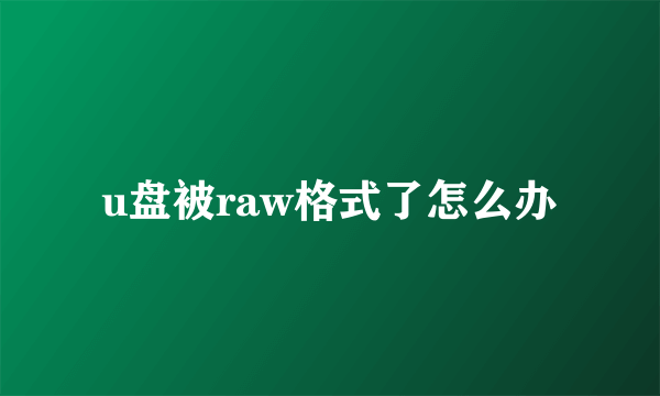 u盘被raw格式了怎么办