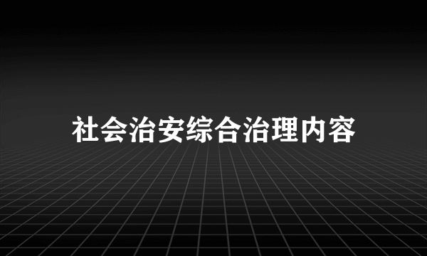 社会治安综合治理内容