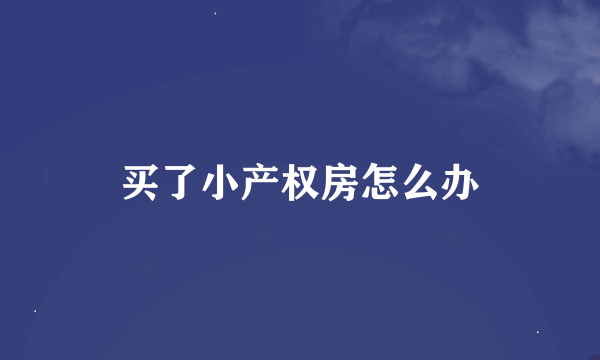 买了小产权房怎么办