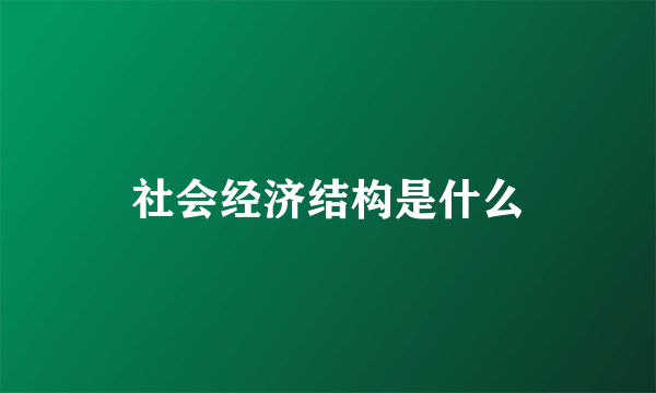 社会经济结构是什么