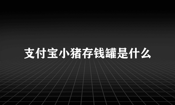 支付宝小猪存钱罐是什么