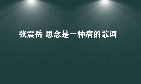 张震岳 思念是一种病的歌词