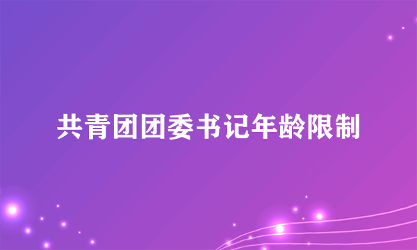 共青团团委书记年龄限制