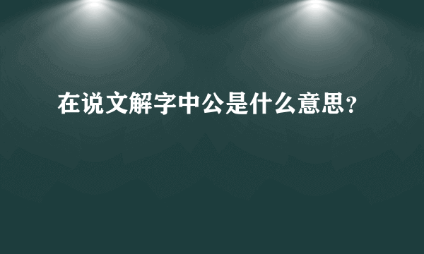 在说文解字中公是什么意思？