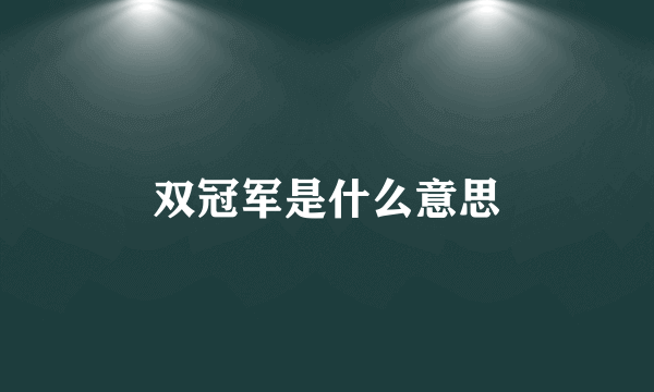 双冠军是什么意思