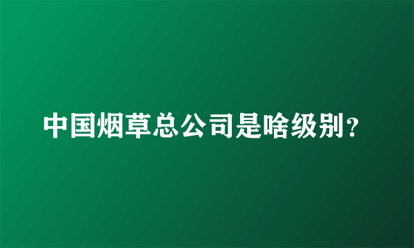 中国烟草总公司是啥级别？