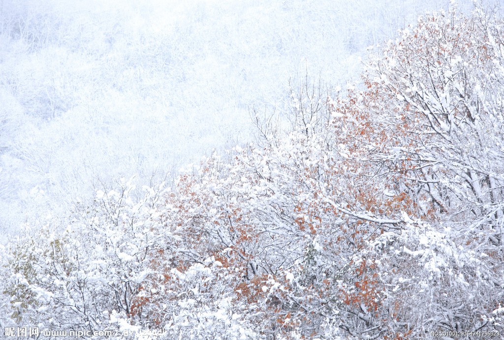 雪景的诗句.