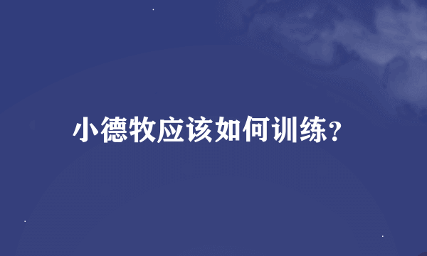 小德牧应该如何训练？