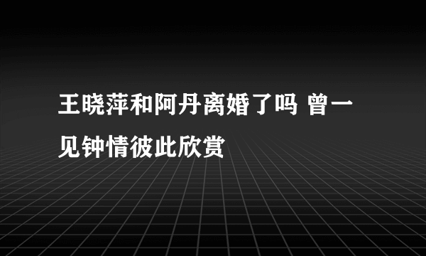 王晓萍和阿丹离婚了吗 曾一见钟情彼此欣赏