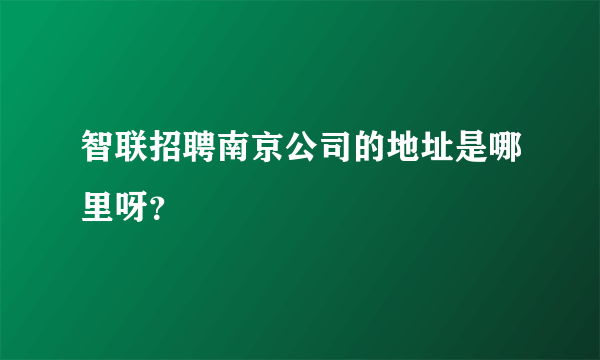 智联招聘南京公司的地址是哪里呀？