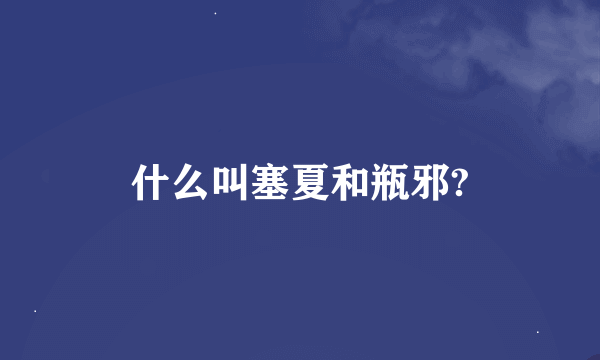 什么叫塞夏和瓶邪?