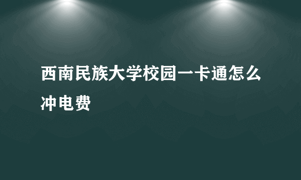 西南民族大学校园一卡通怎么冲电费