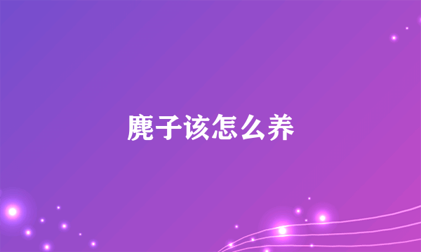 麂子该怎么养