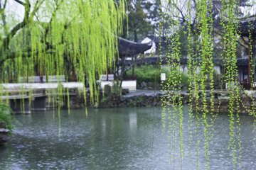 怎么描写春雨