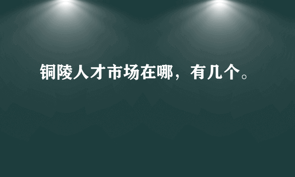 铜陵人才市场在哪，有几个。