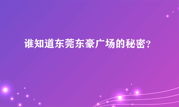 谁知道东莞东豪广场的秘密？