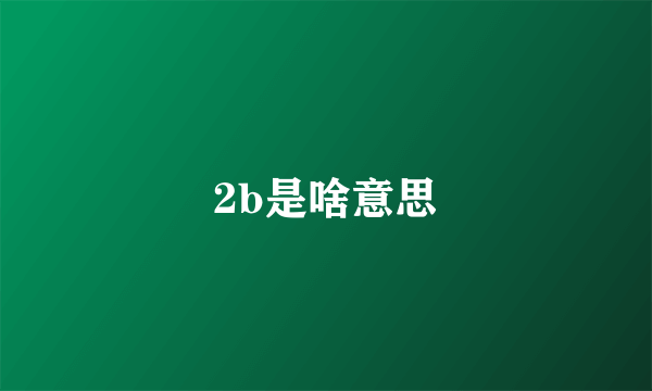 2b是啥意思