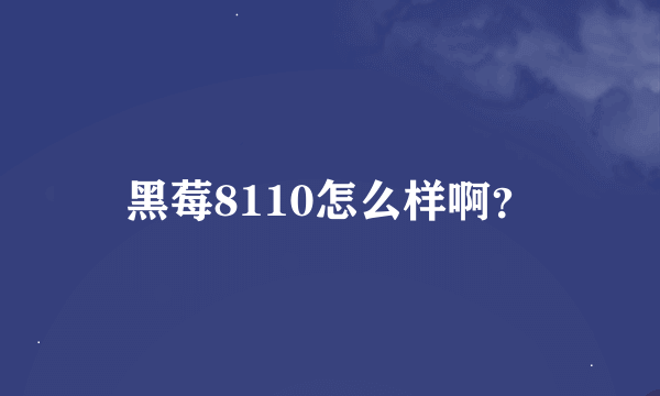 黑莓8110怎么样啊？