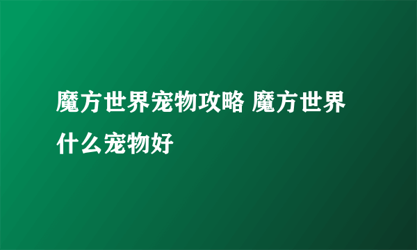 魔方世界宠物攻略 魔方世界什么宠物好