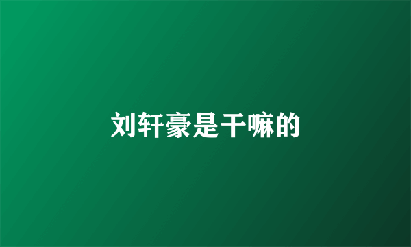 刘轩豪是干嘛的