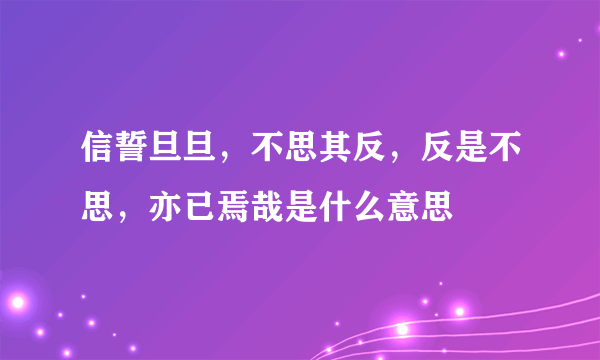 信誓旦旦，不思其反，反是不思，亦已焉哉是什么意思