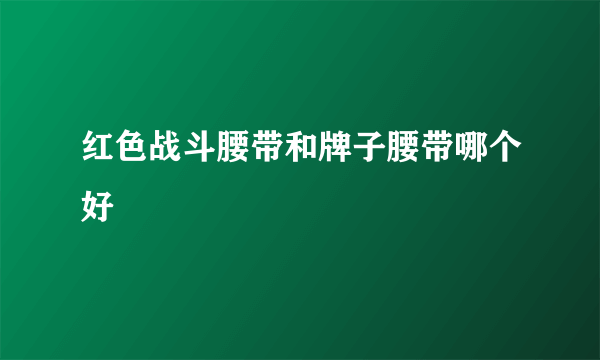 红色战斗腰带和牌子腰带哪个好