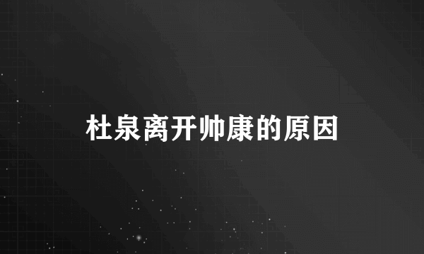 杜泉离开帅康的原因