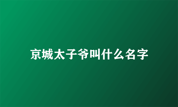 京城太子爷叫什么名字