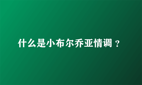 什么是小布尔乔亚情调 ？