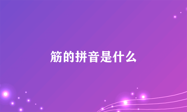 筋的拼音是什么