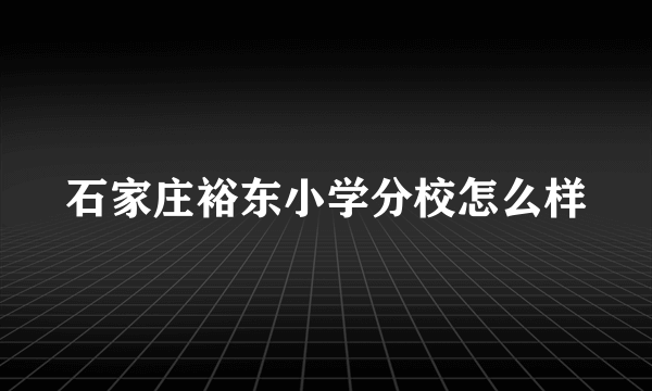 石家庄裕东小学分校怎么样