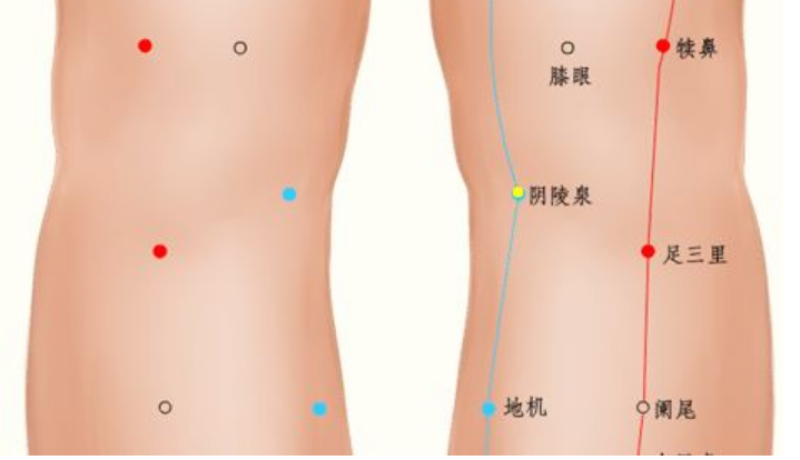 阴陵泉的准确位置是什么？