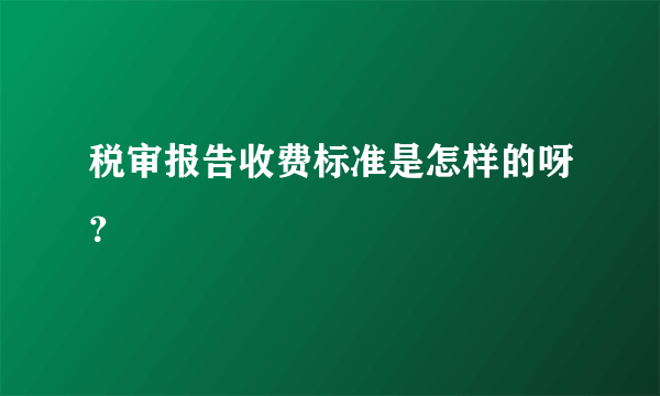 税审报告收费标准是怎样的呀？