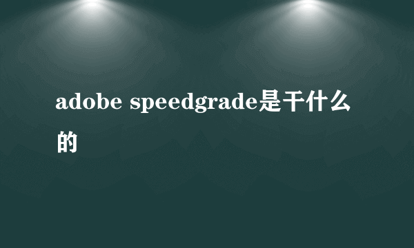 adobe speedgrade是干什么的