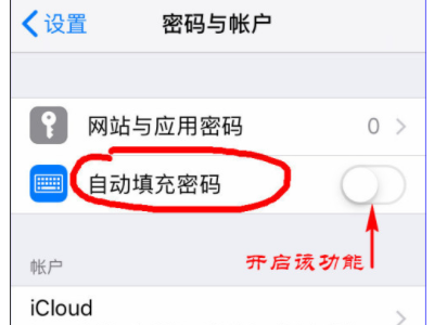 苹果手机验证码自动填写在哪里设置